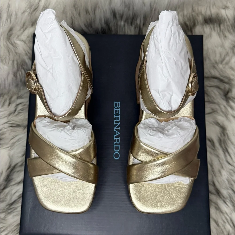 Bernardo brand new